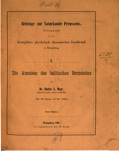 ﻿مورچه های کهربا بالتیک