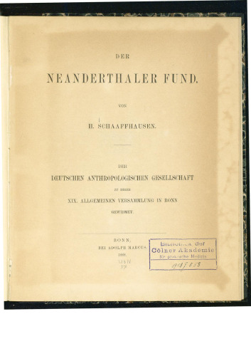 ﻿صندوق Neanderthaler [Neandertaler]