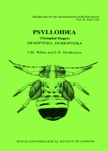 ﻿Psylloidea (مراحل پوره) Hemiptera ، Homoptera