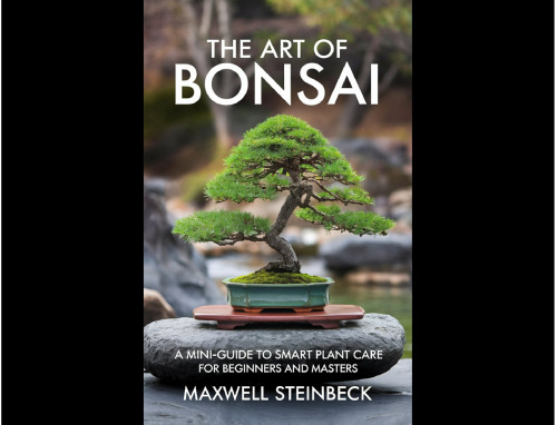 ﻿The Art of Bonsai: یک راهنمای کوچک برای مراقبت از گیاهان هوشمند برای مبتدیان و استادان