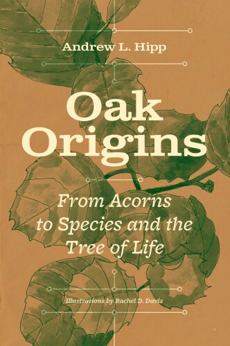 ﻿منشأ بلوط: از بلوط گرفته تا گونه ها و درخت زندگی
