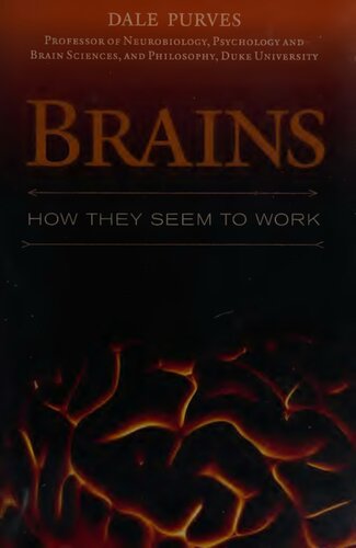 ﻿مغز: چگونه به نظر می رسد آنها کار می کنند