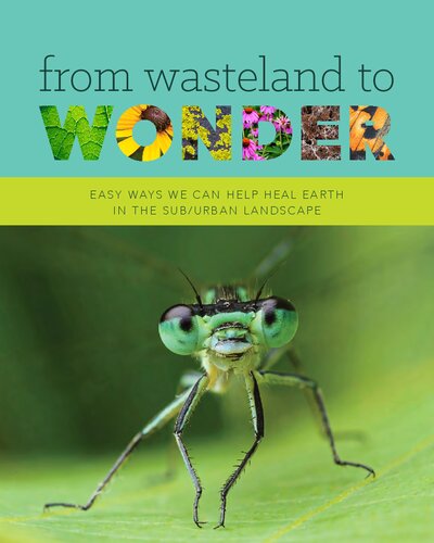 ﻿از Wasteland تا Wonder: راه های آسان ما می توانیم به بهبود زمین در چشم انداز زیر/شهری کمک کنیم