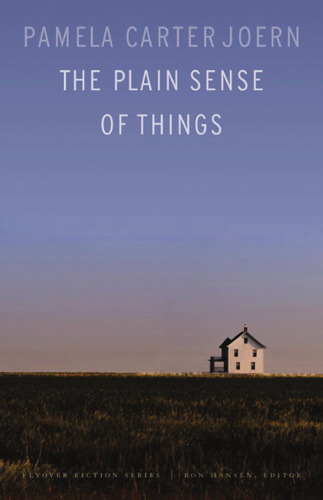 Plain Sense of Things (داستان پرواز