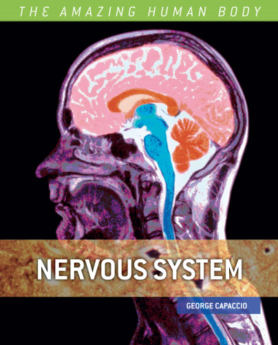 ﻿سیستم عصبی (بدن شگفت انگیز انسان)