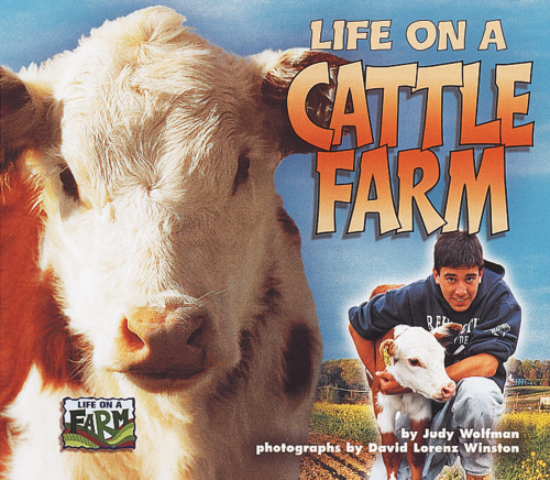 زندگی در مزرعه گاو (زندگی در مزرعه)