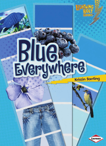 Blue Everywhere (کتاب های پیچ و مهره رعد و برق - رنگ همه جا)