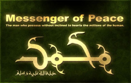 استفاده خردمندانه از مایرها و Peatlands