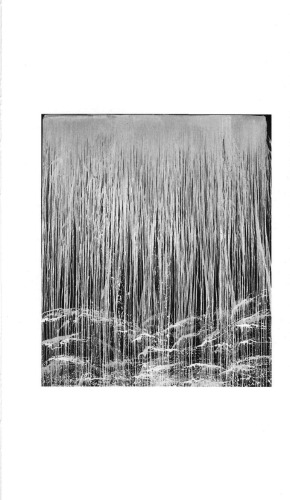 ﻿یک شب بدون زره: اشعار