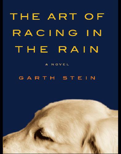 هنر مسابقه در باران