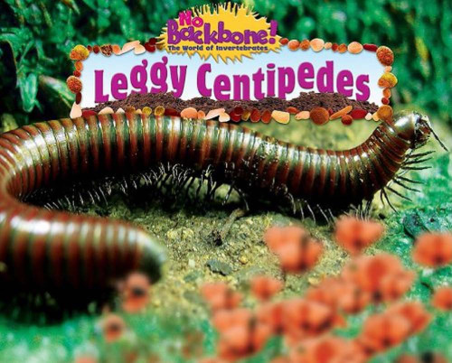 Leggy Centipedes (بدون ستون فقرات! دنیای بی مهرگان)