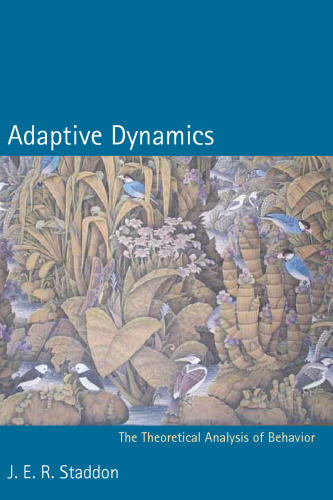 Dynamics Adaptive: تجزیه و تحلیل نظری رفتار