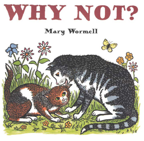 ﻿چرا که نه؟