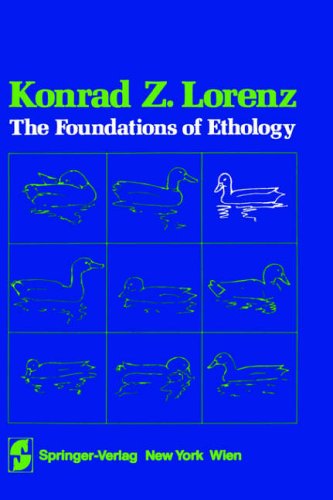 مبانی اخلاق