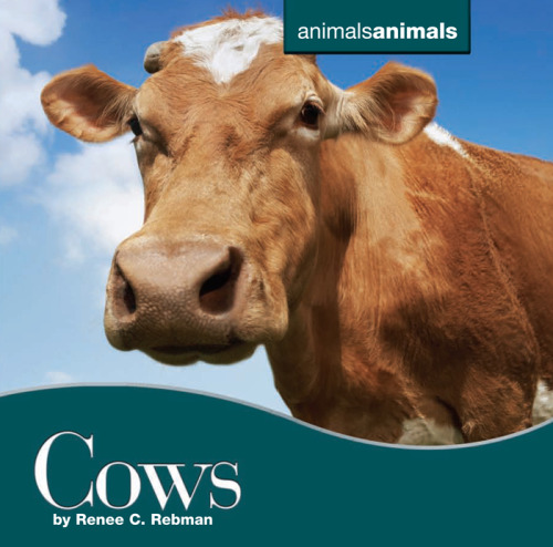 گاوها (حیوانات حیوانات)