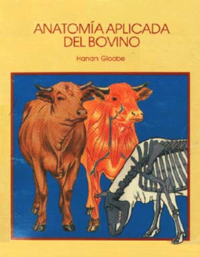 آناتومی کاربردی گاو