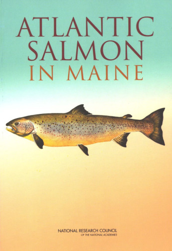Atlantic Salmon در مین