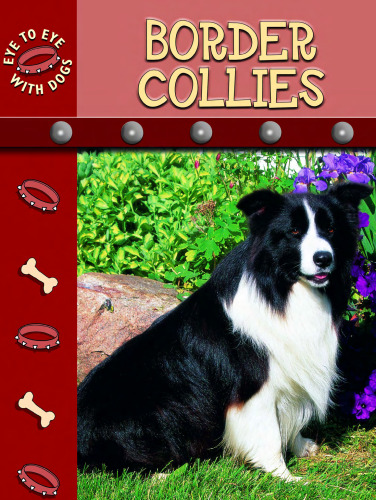 مرز کولی (چشم به چشم با سگ)