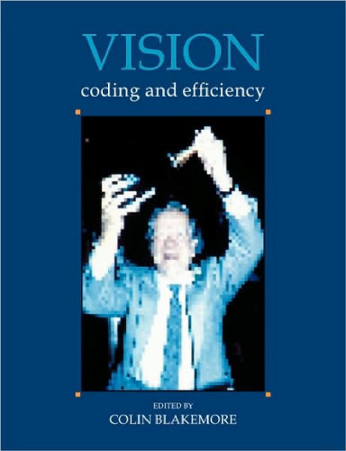 ﻿چشم انداز: کدگذاری و کارایی