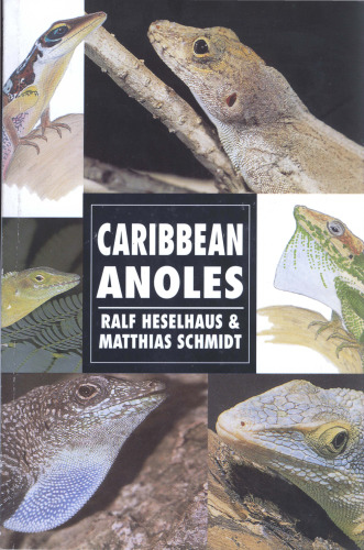 ﻿آنولز کارائیب (مجموعه هرپتولوژی)