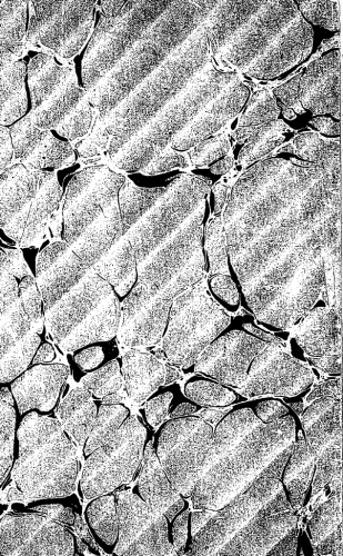 ﻿مقاله ای در مورد فرقه و اسرار میترا