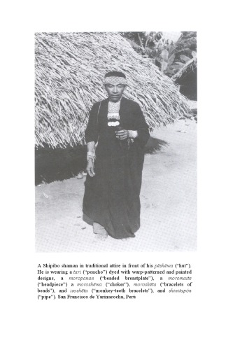 ﻿زیگوت کیهانی: کیهان شناسی در حوضه آمازون