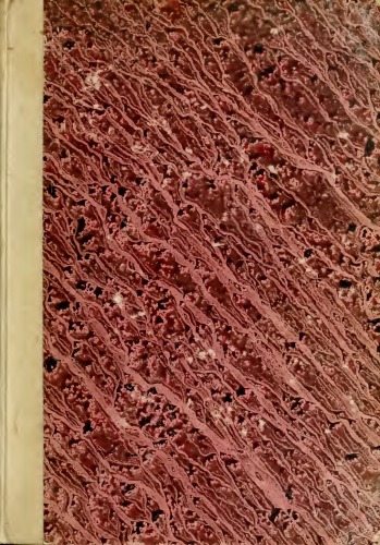 ﻿شمایل شناسی