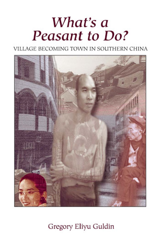 ﻿دهقان چه کاری انجام دهد؟: تبدیل شدن روستا به شهر در جنوب چین