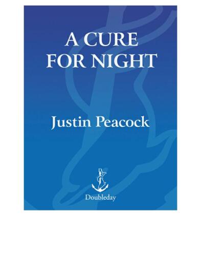 ﻿درمانی برای شب: رمان (مارمولک سیاه جنایی قدیمی)