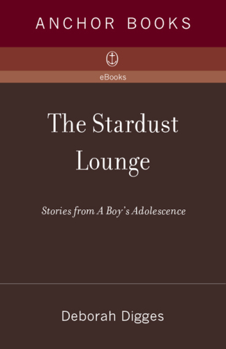 ﻿Stardust Lounge: داستان هایی از نوجوانی یک پسر