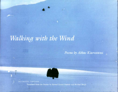 ﻿راه رفتن با باد (صداها و دیدها در فیلم، 2)