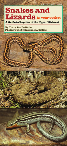 ﻿مارها و مارمولک ها در جیب شما: راهنمای خزندگان غرب میانه بالا (راهنمای بلوط بور)