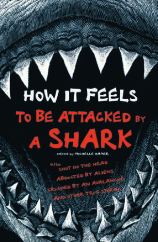 ﻿حمله یک کوسه چه احساسی دارد