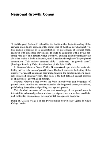 ﻿مخروط های رشد عصبی