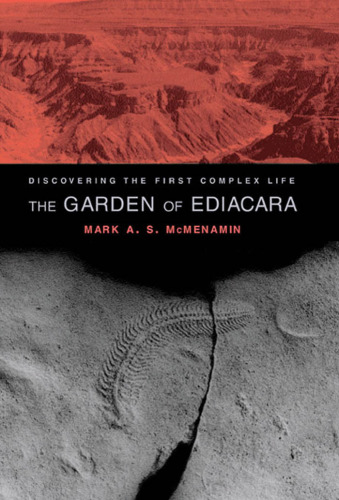 ﻿باغ ادیاکارا: کشف اولین زندگی پیچیده