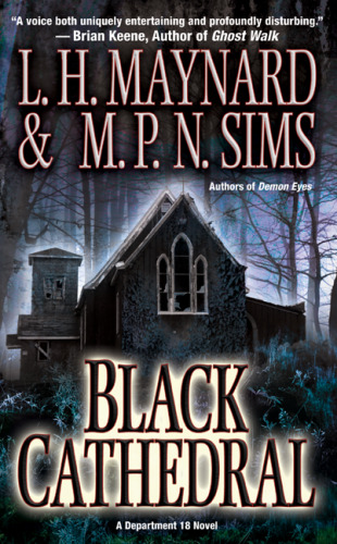 ﻿کلیسای جامع سیاه