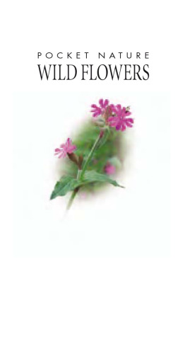 ﻿گل‌های وحشی (طبیعت جیبی)