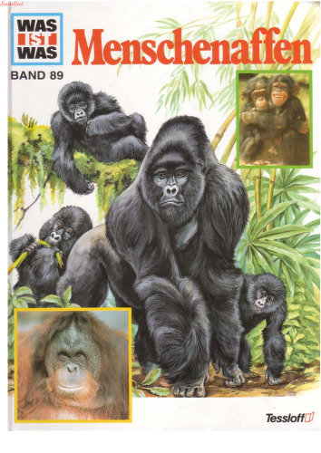 ﻿چیست؟، جلد 89: میمون های بزرگ