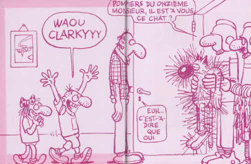 ﻿ادیکا، جلد 30: آبرو کادابرو