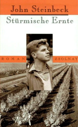 ﻿برداشت طوفانی