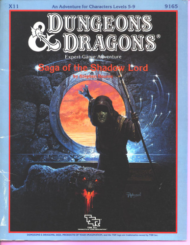 ﻿Saga of the Shadow Lord (ماژول X11 Dungeons and Dragons)
