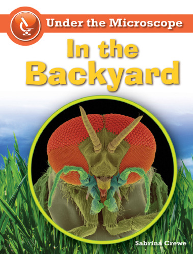 ﻿در حیاط خلوت (زیر میکروسکوپ)