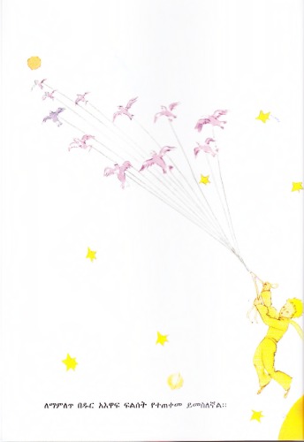 ﻿شاهزاده نوجوان