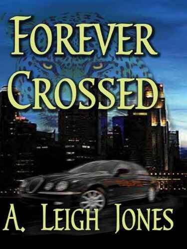 ﻿برای همیشه لطفا برای عبور