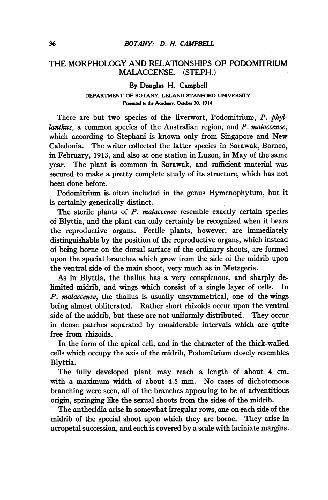 ﻿مورفولوژی و روابط Podomitrium Malaccense (1914)(en)(2s)