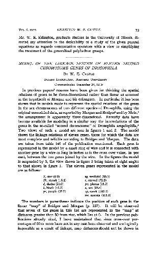 ﻿مدل سیستم پیوند یازده کروموزوم ژن دوم مگس سرکه (1919)(en)(5s)