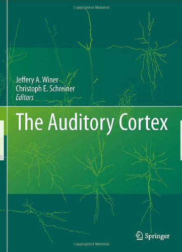 ﻿قشر شنوایی