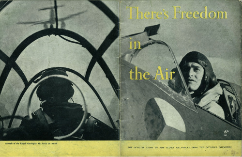 آزادی در هوا (نیروهای هوایی متفقین کشورهای اشغالی)