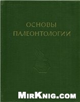 ﻿حداکثر Extremum