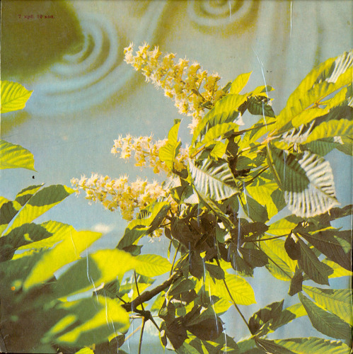 ﻿ذخیره‌گاه تاریخی و فرهنگی ایالت کیف پچرسک